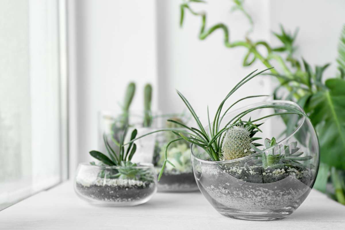 Crafts for relaxation