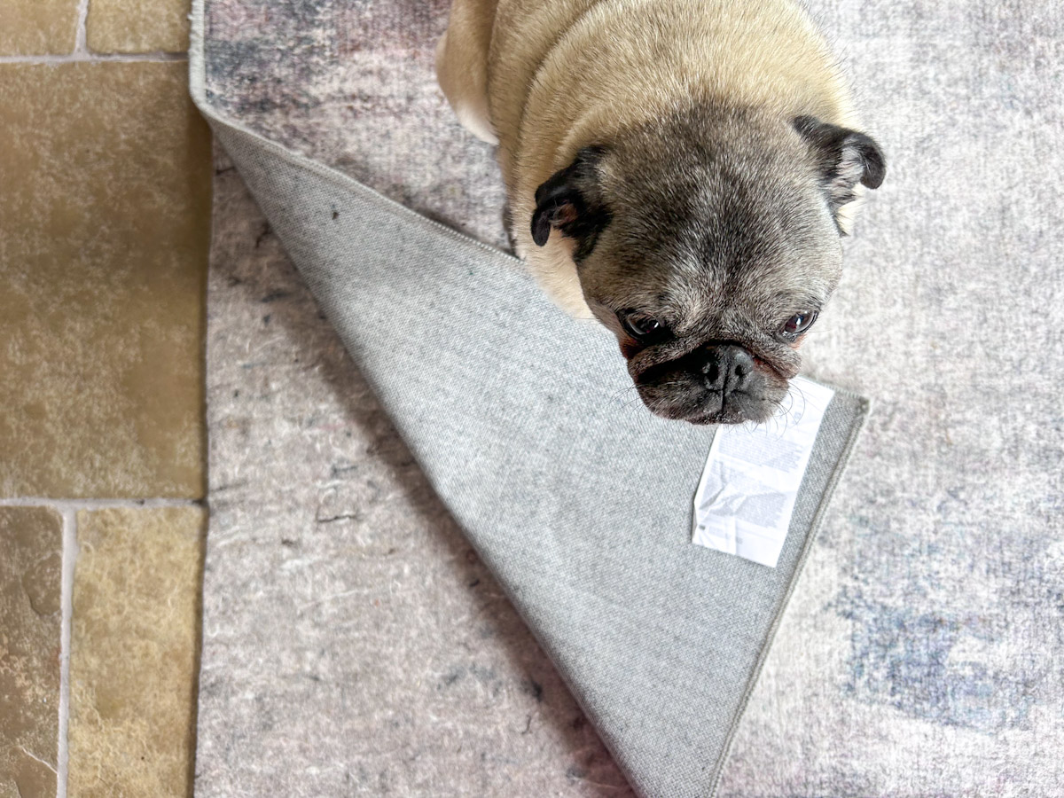 Washable Rug perfect for pets
