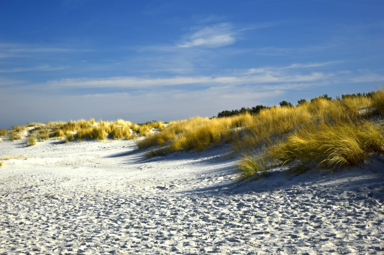 https://pixabay.com/photos/dunes-dune-landscape-beach-4033821